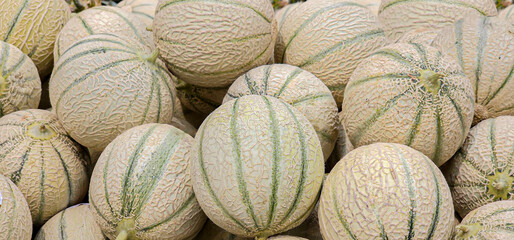 Close up of fresh, loose muskmelon, cantaloupe, melon or orange melon as a background. Close up of...