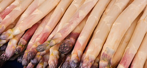 A close up shot showing the pink and purple tips of loose, fresh white asparagus spears for sale at...