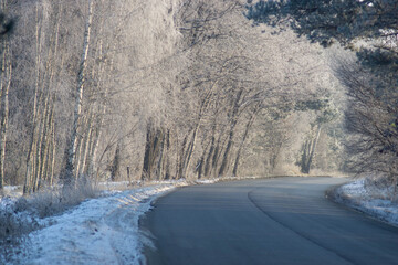 snow covered road