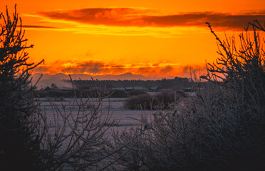 sunrise over bushes overlooking a field in winter scenery © Adam