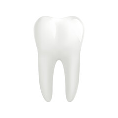 White molar tooth. Png clipart isolated on transparent background