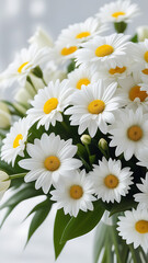 White daisy bouquet close-up background. white buttercups flower. Spring white flowers background. Floral card in pastel colours. Beautiful delicate spring flowers.