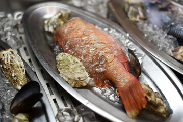 Fresh fish with ice in the freezer