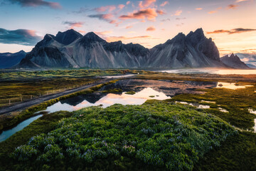 Sunrise over Vestrahorn mountain with lupine wildflower blooming in summer at Stokksnes peninsula, Iceland