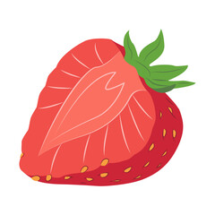 Cut strawberry. Red ripe strawberry Isolated cut strawberry on a white background. Vector illustration. 