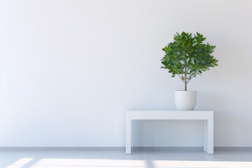 3D rendering of a potted plant on a table against a white wall background in a bright room with sunlight shining through the window. - obrazy, fototapety, plakaty