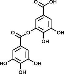 Digallic acid structural formula, vector illustration