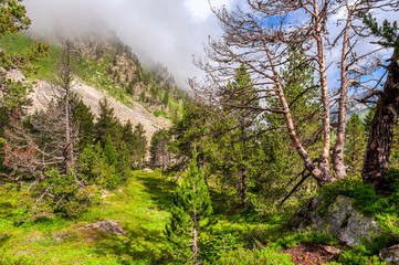 Nationalpark Gerber Tal | Pyrenäen
