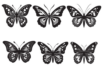 Obraz premium Butterfly Vector Illustration