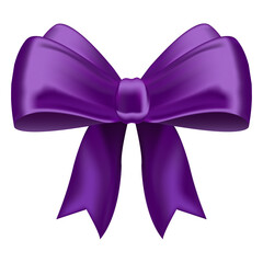 Beautiful purple bow isolated on white background