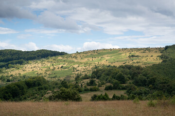 Fototapeta premium Landscape of hillside overgrown with forest and grass during cloudy summer day