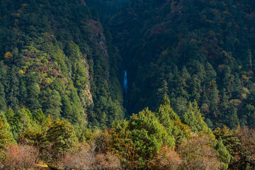 Fototapeta na wymiar Green Forest Landscape of Taplejung Nepal seen during Kanchenjunga Base Camp Trek in the Himalayas