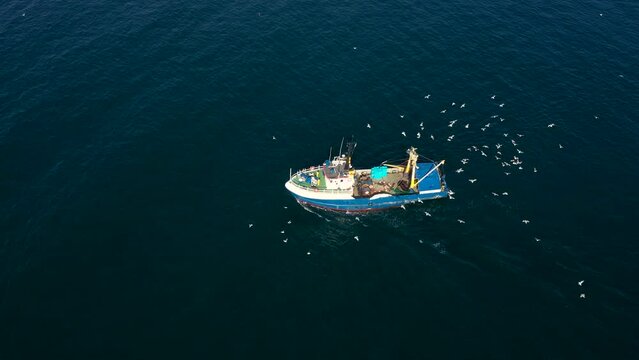 Aerial view to a fishing vessel in sea and many seagulls