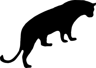 black leopard Silhouette png Vector Illustration. PNG on transparent background(png)