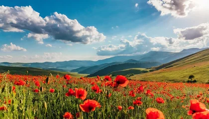 Tuinposter poppy field on a sunny afternoon beautiful countryside with red flowers in mountains bright blue sky with fluffy clouds summer outdoors happy days memories concept © RichieS
