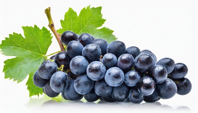 dark black grape with leaves over white wet fruit clipping path full depth of field ripe blue grapes on branch with green leaves isolated on white background png