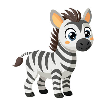 Vector of illustration Cartoon cute Zebra on white.