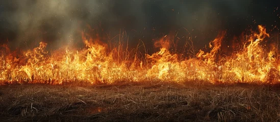 Fotobehang Flames from a wildfire on the old dry grass in the summer. with copy space image. Place for adding text or design © vxnaghiyev