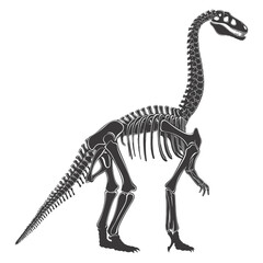 Silhouette Dinosaur skeleton black color only