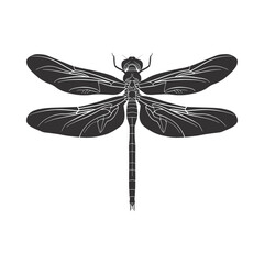 Silhouette Dragonfly black color only full body