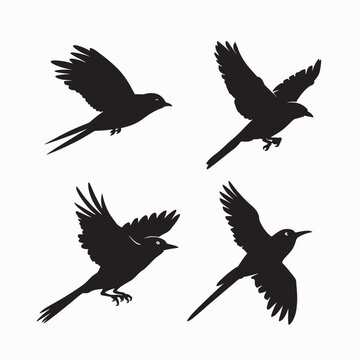 Black bird silhouettes. vector elements with fully editable