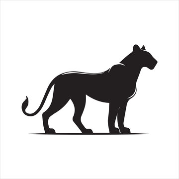 African lion. Lion silhouette. Vector illustration.