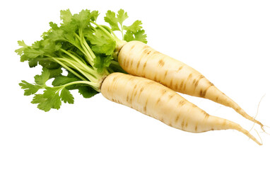Exploring the Parsnip Isolated on Transparent Background PNG.