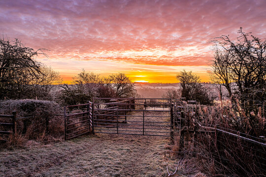 Geese fly into the sunrise, Castle Semple Loch, Lochwinnoch, Renfrewshire, Scotland, UK