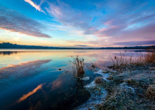 Shore Ice, Castle Semple Loch, Lochwinnoch, Renfrewshire, Scotland, UK