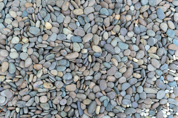 Surface Ground full of stones 