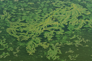 Water  polluted because of Climate Change