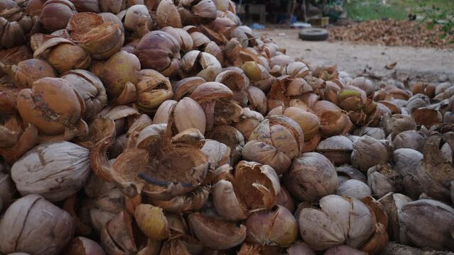 the camera shows a pile of coconut shells in a factory