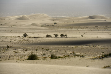 Fototapeta na wymiar Windy afternoon on the sand dunes near the town of Fiambalá, Catamarca, Argentina.