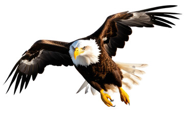 a high quality stock photograph of a single flying happy eagle isolated on a white background