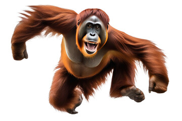 a high quality stock photograph of a single jumping happy orangutan isolated on a white background