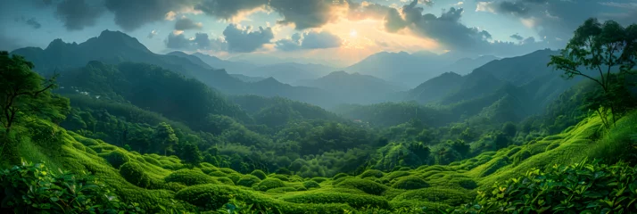Keuken spatwand met foto Tea plantation HD 8K wallpaper Stock Photographic Image, Green mountain landscape with green leaves on it © Zafar