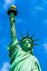 Fototapeta premium Statue of Liberty in New York