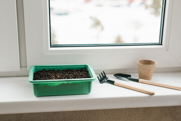 Container with peat and planted seeds with a garden tool at home on the windowsill