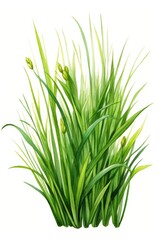 Obraz premium Vibrant painting of green grass, ideal for nature concepts