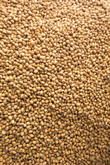 Vigna unguiculata is scientific name of Cowpea legume. Also known as haricot and Feijao de Corda.