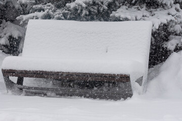 bench in the park with snow.