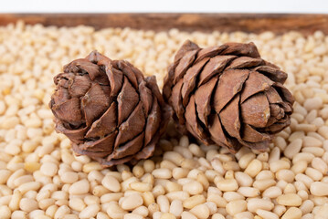 cedar cones lie on the kernels of pine nuts.