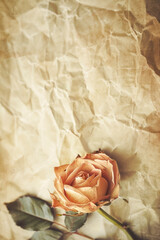 Vertical Vintage paper background with aged texture and sepia tones, evoking nostalgia and vintage charm.