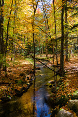 A meandering stream in Hudson, Quebec.