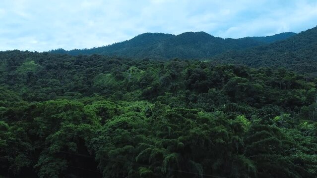 Scenic aerial view of misty tropical jungle in South America. Drone shot of pristine rainforest in Venezuela