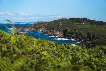 Captivating Ons Island scene: lush green ferns in the foreground, azure sea, rocky cliffs, Pontevedra estuary, and a summer sky with scattered clouds from the Buraco do Inferno path.