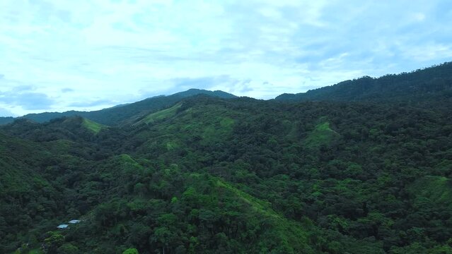 Scenic aerial view of misty tropical jungle in South America. Drone shot of pristine rainforest in Venezuela