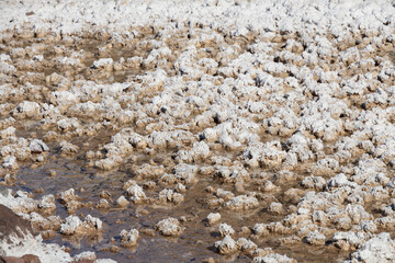 Salt Flats at Badwater Basin in Death Valley National Park, Death Valley, California
