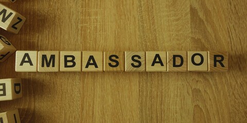ambassador sign made with wooden cubes