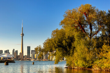 Toronto skyline in a sunny day - 744068232